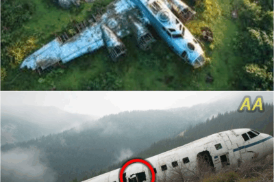 Lost WWII Plane Found Deep in the Jungle—What Scientists Found Inside Changed History Forever