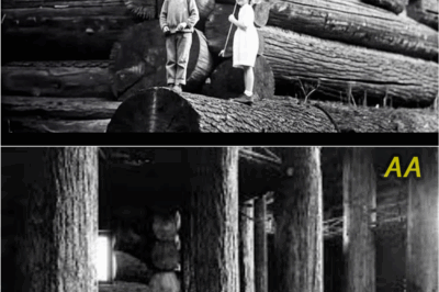 The Forgotten Photo That Shook Historians: Two Children, a Giant Log House, and a Terrifying Discovery Hidden in Plain Sight