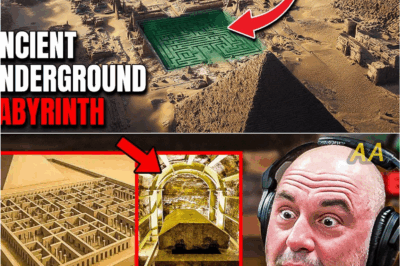 The Forbidden Discovery Beneath Egypt: Scientists Uncover a Hidden Labyrinth Holding Evidence of Impossible Ancient Technology