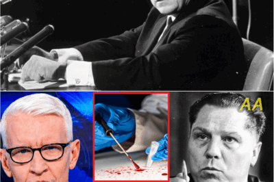 50 Years of Silence Shattered: Jimmy Hoffa’s Family Reveals Chilling Truths About His Disappearance