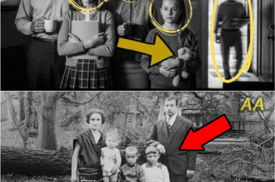 “Family Vanishes Without a Trace — 30 Years Later, Neighbor Returns with Shocking Confession”