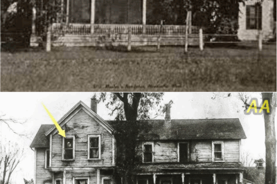 “Experts Discover 1902 Family Photo at Abandoned Mansion… They Zoom In the Window and Freeze”