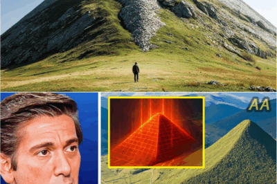 Unveiled at Last: What Experts Really Found Beneath Bosnia’s “Massive Pyramids” Will Leave You Speechless