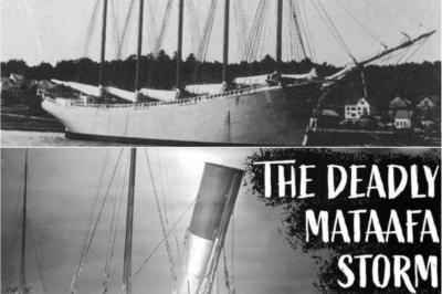 Ghost Ship No More? How Experts Claim to Have Decoded the Vanishing of the Carroll A.  Deering and the Truth Will Astonish You