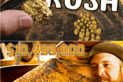 Striking Gold: The Most Exciting Paydays in Gold Rush History