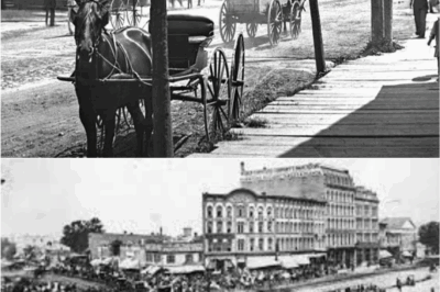 Experts Spot Something in 1800s Photo of Small Michigan Town — What They Found Left Them Completely Speechless