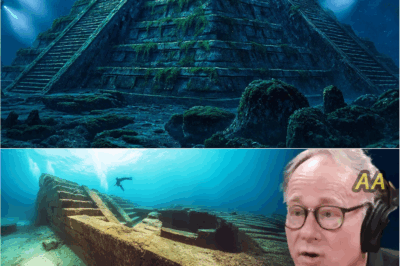 The Lost City Beneath the Waves: Scientists Discover an Ancient Civilization That Shouldn’t Exist