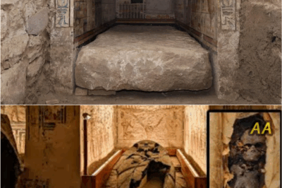 The Deepest Excavation in Egypt’s History Reveals Something Terrifying