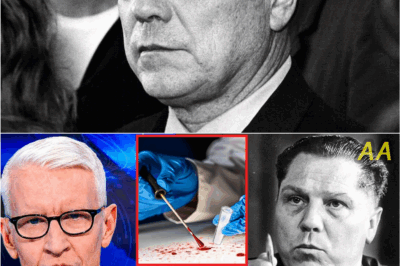 The Chilling Truth Behind Jimmy Hoffa’s Disappearance: Family Breaks Silence After 50 Years