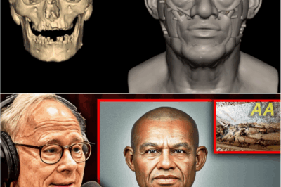 Groundbreaking Discovery: Ancient Egyptian DNA Decoded, Revealing Surprising Ancestry That Challenges History