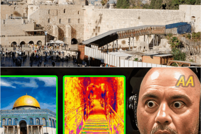 AI Reveals Astonishing Discoveries Beneath the Temple Mount That Could Rewrite History