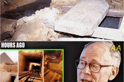 The Haunting Discovery Beneath the Osiris Shaft That Terrified Egypt’s Archaeologists