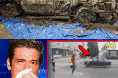 Vanished for 20 Years: Louisiana Car Reappears with a Shocking Secret Inside