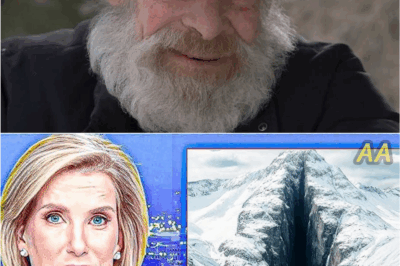 Mountain Men Production Halted After Horrifying Discovery in Remote Wilderness