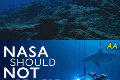 NASA Satellite Discovers Mysterious Structure Beneath the Ocean That Terrifies Scientists