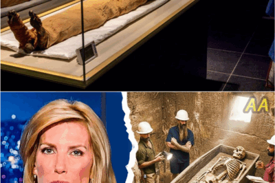 Unearthed After 3,000 Years: The Astonishing Discovery Inside the Lost Tomb of Egypt’s Forgotten Warrior King