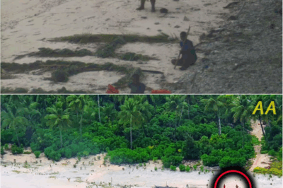 “God, No!”: The Shocking Discovery That Left a U. S. Coast Guard Crew Speechless on a Remote Pacific Island