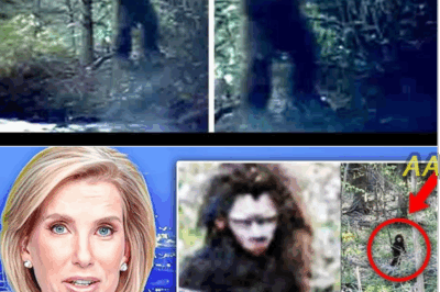 Bryce Johnson Confirms Hidden Drone Footage Discovery That Never Aired — The Shocking Story Behind the Unseen Footage