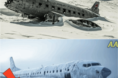 Long-Lost Aircraft Discovered Buried in Snow — Scientists React in Horror to Its Shocking Contents