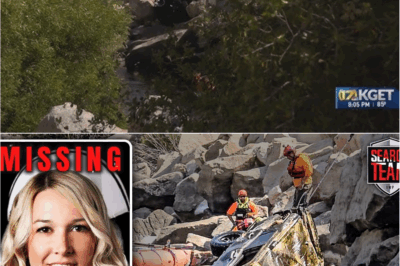Christina Murphy’s Car Found After 50 Days – The Harrowing Story of Disappearance and Discovery