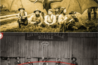 Legendary Tombstone Thunderbird May Be Real: Arizona Researchers Stumble Upon Shocking 1890s Evidence