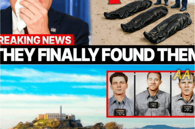 Alcatraz’s Greatest Mystery Cracked: Shocking 2025 Discovery Reveals Fate of Escaped Inmates After Six Decades