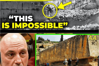 Unveiling the Mystery: Who Really Constructed Lebanon’s Enigmatic Megalithic Ruins?