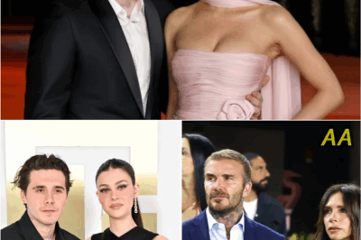 Beckham Family Rift Deepens as Brooklyn and Nicola Peltz Remain Estranged