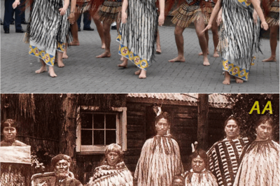 The Lost Voyage of Humanity: Scientists Finally Uncover the Ancient DNA Secret Behind the Polynesian People 🌊🧬