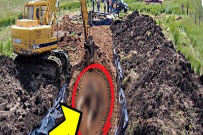 🐱👤 Farmer’s Peaceful Day Turns Into NIGHTMARE As He Unearths a Bone-Chilling Discovery That Left Him Speechless! 😱 What Did He Dig Up That Has Experts and Locals Shaking in Terror? 👇  In a small, sleepy town where nothing ever happens, one farmer’s routine day in his field turned into a scene straight out of a horror movie! Armed with nothing but a shovel and a dream of fresh crops, he struck something that wasn’t a rock or a root—it was a twisted, spine-chilling something that’s now the talk of the town. Is it an ancient curse? A long-buried secret? Or something far, FAR worse? 👇