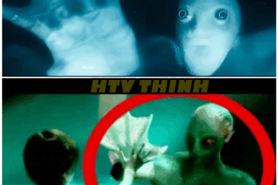 🦊 “The Government Tried to BURY THIS!” — Real Mermaid Allegedly CAPTURED Alive in 2025: Leaked Footage, Military Involvement, and a GLOBAL Cover-Up That’s Shaking the Internet 🌊👀