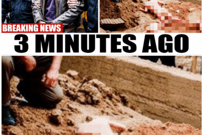 🦊 FBI STORMS Mike Wolfe’s Mansion — What They Found Beneath the Floorboards Made Agents Go Pale and Call for Immediate Backup 🕵️‍♂️😱