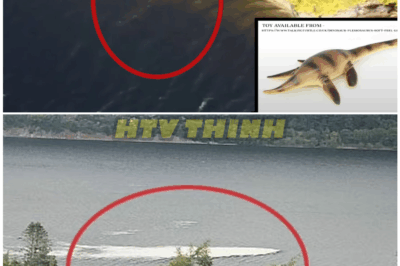 🦊 Baby Nessie?! Tourists Left Speechless After Filming Mini MONSTER in Scottish Waters — Experts in DENIAL 🐊Is This the Loch Ness Monster’s Offspring?! Tiny Creature Caught on Tape Sparks Theories, Cover-Ups, and CHAOS 📹