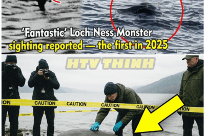 🦊 BREAKING: New Loch Ness Monster Sighting Leaves Experts SHAKEN – Most CONVINCING Evidence Yet Just Hit the Internet! 🐉👁️