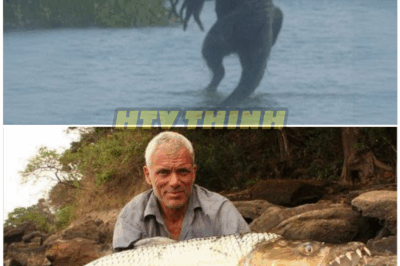 🦊 Fishermen Spot TERRIFYING Creature in Remote River — Biologists Left Speechless, Locals Warned to Stay Away After Chilling Encounter 🐍😱
