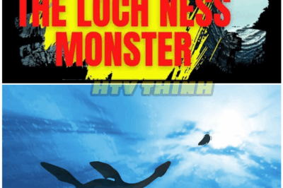 🦊 SCIENTISTS STUNNED AFTER 2025 LOCH NESS DISCOVERY — CLASSIFIED EVIDENCE, ERASED FOOTAGE, AND A MONSTER TRUTH TOO BIG TO BURY ANY LONGER! 🌊