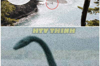 🦊 CANADIAN MONSTER REVEALED! Mysterious Creature Caught on Camera – Is This the LOCH NESS MONSTER’S Long-Lost Cousin? 🇨🇦🐉