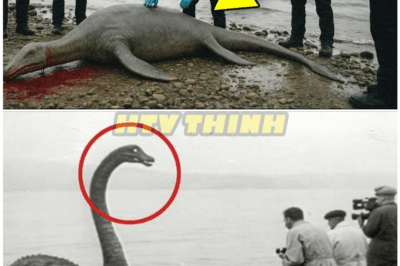 🦊 “BREAKTHROUGH BOMBSHELL: Scientists STUNNED by New Loch Ness Monster Evidence — Could This Be the FINAL Piece of the Puzzle?” 🧬