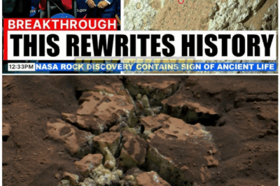 🦊 NASA FINALLY CONFIRMS SHOCKING DISCOVERY ON MARS—What They Found Just Beneath the Surface Has EVERYONE Questioning What We’ve Been Told 👽🚨