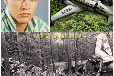 🦊 SHOCKING REVELATION: What REALLY Happened to Ricky Nelson? Hidden Reports and Witness Testimonies Expose a Dark Truth the Public Never Knew! 🕵️‍♂️🔥