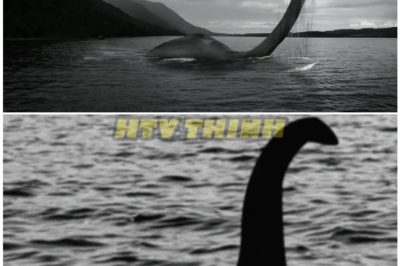 🦊 Loch Ness Monster SPOTTED IN THE OCEAN?! Scotland’s Most Terrifying Legend Resurfaces in JAW-DROPPING Twist 🌊