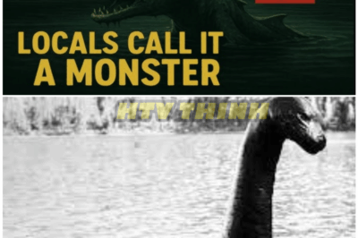 🦊 MONSTER in the WHITE RIVER? Locals Sound the Alarm After Terrifying Encounter – What’s Lurking Beneath Is NO Fish Story! 🌊👀
