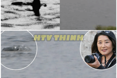 🦊 New Loch Ness MONSTER VIDEO Leaves Experts SHOCKED: ‘Neck-Like’ Object Caught on Camera, Panic Among Locals, and the URGENT Move to Suppress the Footage 🎥🐍