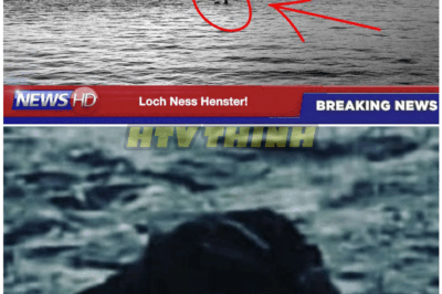 🦊 “BREAKING: Loch Ness Monster MYSTERY SOLVED After DECADES of LIES, COVER-UPS & SCIENTIFIC SILENCE — The TRUTH Is WAY STRANGER Than Anyone Expected 😳🦕”