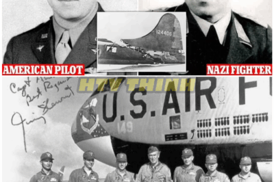 🦊 “‘YOU WON’T BELIEVE THIS STORY!’ American Pilot Spent 40 Years Searching for the Enemy Who SAVED Him — What Happened Next Will Leave You Stunned ✈️🤯”