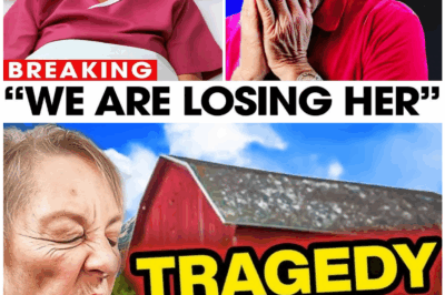 🦊 SHOCKING TWIST IN “THE INCREDIBLE DR. POL” — WHAT REALLY HAPPENED TO DIANE POL? THE MYSTERIOUS DISAPPEARANCE, THE RUMORS, AND THE STUNNING SECRET THAT COULD CHANGE EVERYTHING 😱🔥