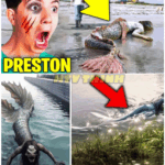 preston