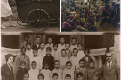 The Haunting Mystery of Willowbrook Orphanage: 43 Children Vanished, 40 Years of Secrets Uncovered