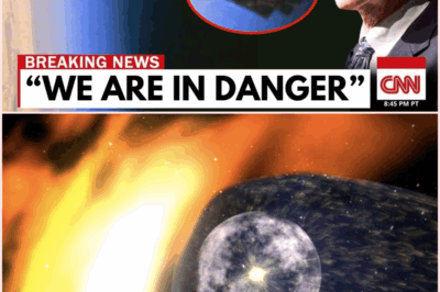 NASA’s Silent Panic: What Voyager 2 Found at the Edge of the Universe Terrified Scientists