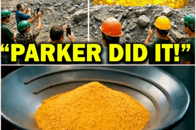 Parker Schnabel’s $75 Million Gold Strike: A Discovery That Could Rewrite History